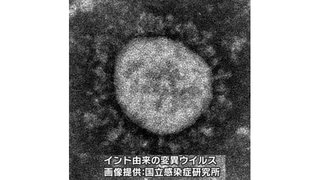 ノーマスクの反ワクチン集団に対応しコロナ感染した札幌市職員3人､デルタ株(インド型)の疑い