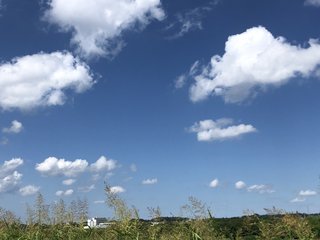 &#x{11:F8E2};なんでもいｰから&#x{11:F8E2};