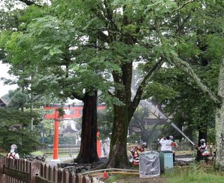 【京都】上賀茂神社（賀茂別雷神社）に落雷