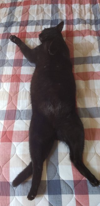 &#x{11:F8E2};なんでもいｰから&#x{11:F8E2};