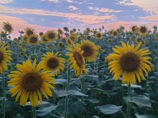 &#x{11:F8E2};なんでもいｰから&#x{11:F8E2};