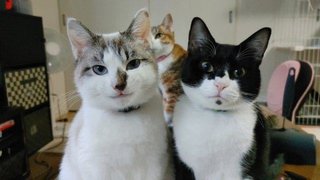 この子イケメン過ぎない？！