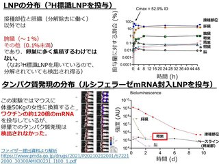 コロナワクチン、子どもに打たないでください！！