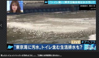 五輪会場となる東京湾の水質問題、悪臭への不安残るまま本番入りか