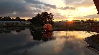 &#x{11:F8E2};なんでもいｰから&#x{11:F8E2};