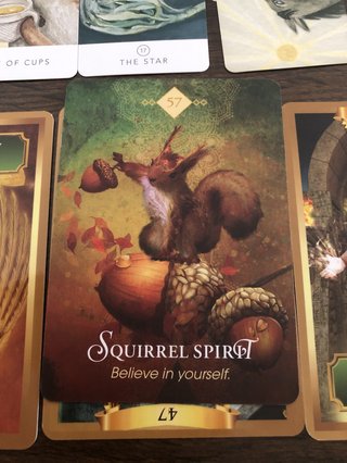 カードリーディング部