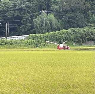 &#x{11:F8E2};なんでもいｰから&#x{11:F8E2};