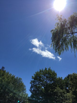 &#x{11:F8E2};なんでもいｰから&#x{11:F8E2};