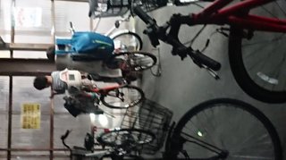 ひそかにバカにしているあれこれ