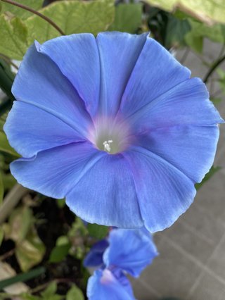 &#x{11:F8E2};なんでもいｰから&#x{11:F8E2};