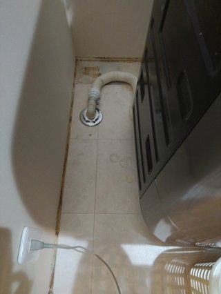 洗濯機の元栓みたいなやつ毎日閉めてる？【集計】