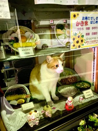 「ガチで悲鳴をあげた」閉店後の蕎麦店の前を通ったら…