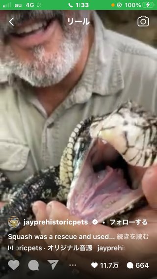 &#x{11:F8E2};なんでもいｰから&#x{11:F8E2};