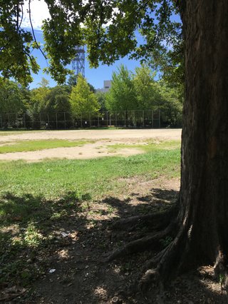 &#x{11:F8E2};なんでもいｰから&#x{11:F8E2};