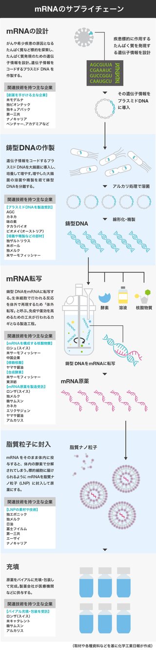 商機広がるｍＲＮＡ医薬　原料・部材や製造、欧米を追う日本　ＡＧＣ、カネカ、ヤマサなど参入