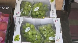 日本の高級ブドウなぜ“韓国産”?　無断栽培か 直撃に「大目に見て」