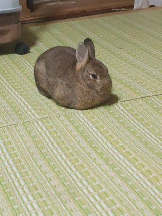 &#x{11:F8E2};なんでもいｰから&#x{11:F8E2};