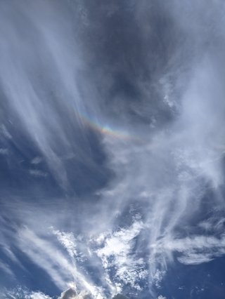 【総合】沖縄【作ったさ～】