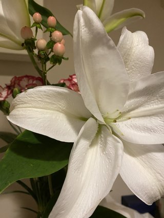 &#x{11:F8E2};なんでもいｰから&#x{11:F8E2};