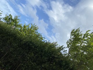 &#x{11:F8E2};なんでもいｰから&#x{11:F8E2};