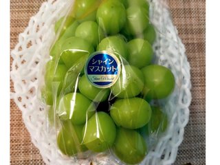 小林麻耶【麻耶☆道】