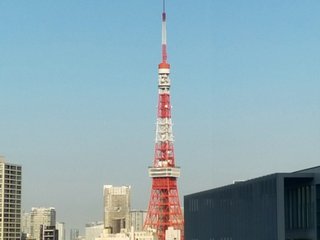 小林麻耶【麻耶☆道】