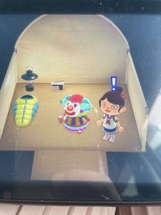 どうぶつの森 Switch 