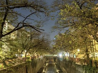 小林麻耶【麻耶☆道】