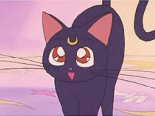 「総合」ミヤネ屋「全国放送」