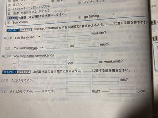 ちらし裏-中学生版-