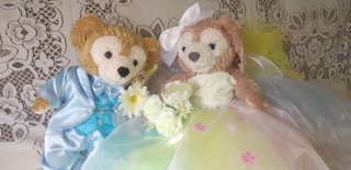 今日の予定おしえてー