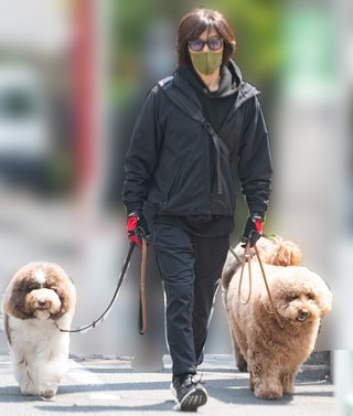 拾い画なんだけど、このワンコの犬種は何ですか？