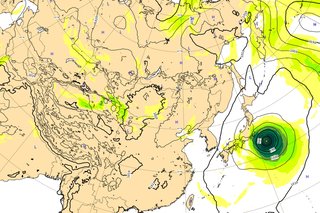 来週末、台風みたいだよ。