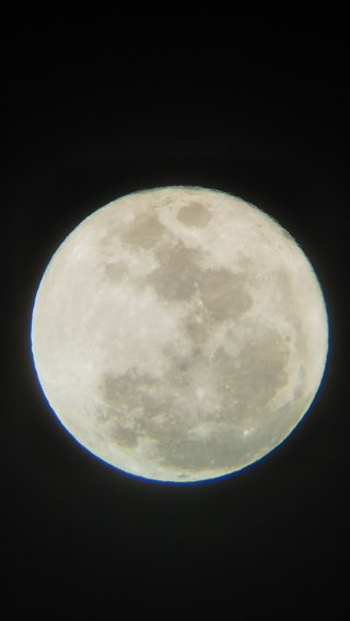 今日お月見だよ