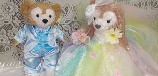 今日の予定おしえてー