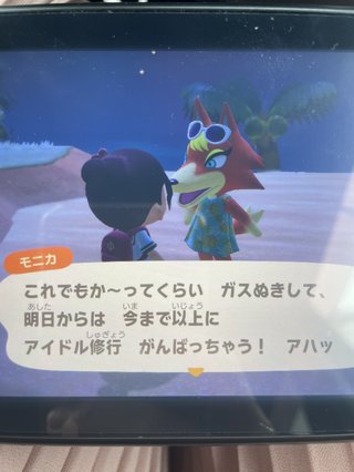 どうぶつの森 Switch 