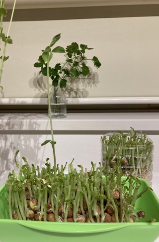 &#x{11:F8E2};なんでもいｰから&#x{11:F8E2};