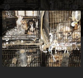 フジ《バイキング》月～金曜 11:55～ 