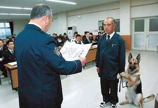 きゃわわ