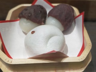 小林麻耶【麻耶☆道】