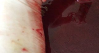 私って滅多にいないくらいにクズだったみたい