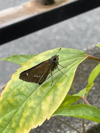 &#x{11:F8E2};なんでもいｰから&#x{11:F8E2};