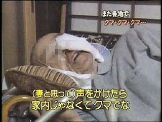 【秋田】「お前、何なんだ！」クマ「お前こそ何なんだ！」暗闇でクマと気付かず格闘　 