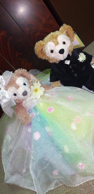 今日の予定おしえてー