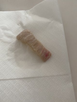 コストコに行く人&#x{11:F995};