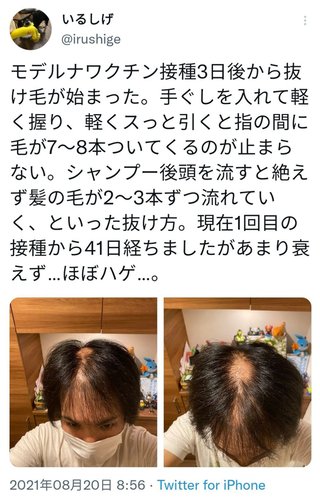 いつまでコロナ祭りやってんの？？アホかよｗ