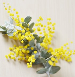 &#x{11:F8E2};なんでもいｰから&#x{11:F8E2};