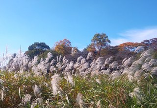 &#x{11:F8E2};なんでもいｰから&#x{11:F8E2};