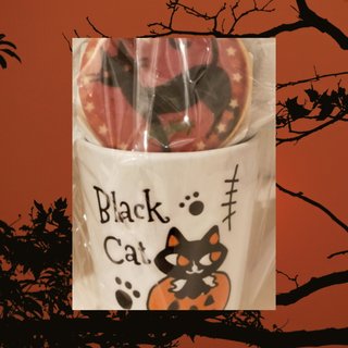 小林麻耶【麻耶☆道】