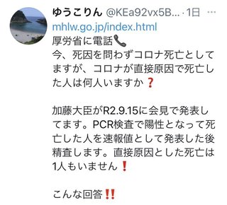 厚生省へ電話回答>コロナの死者は1人もいませんww
